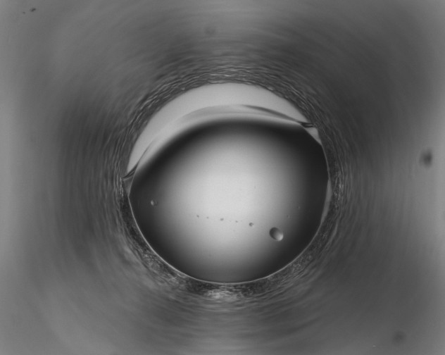 X0000116300272200912141342