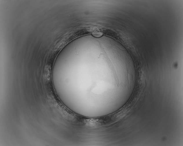 X0000116300273200912141342