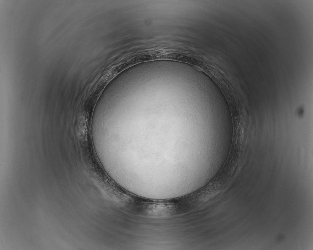 X0000116300274200912141342