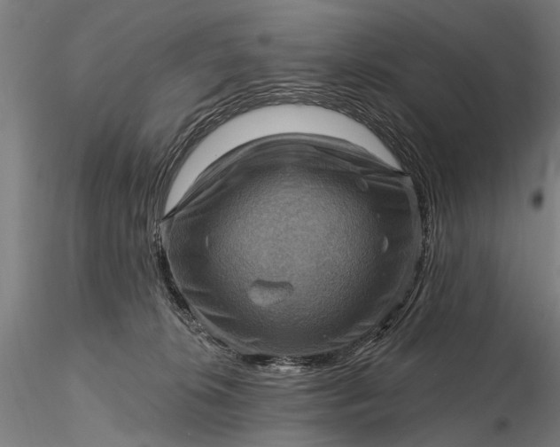 X0000116300276200912141342