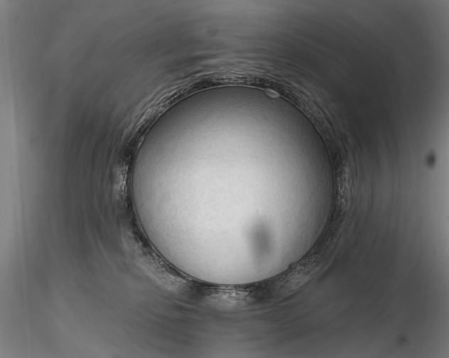 X0000116300278200912141342