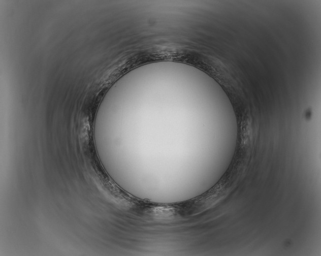 X0000116300279200912141342