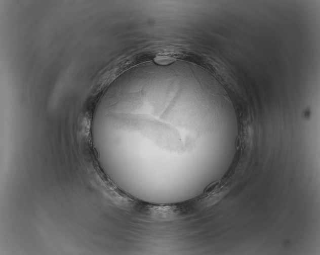 X0000116300281200912141342