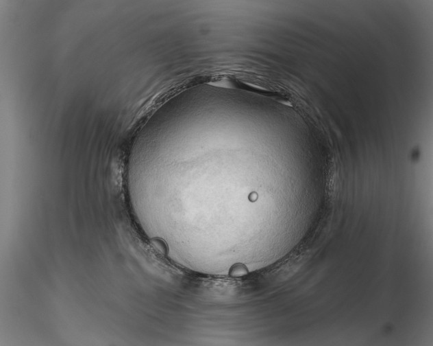 X0000116300282200912141342