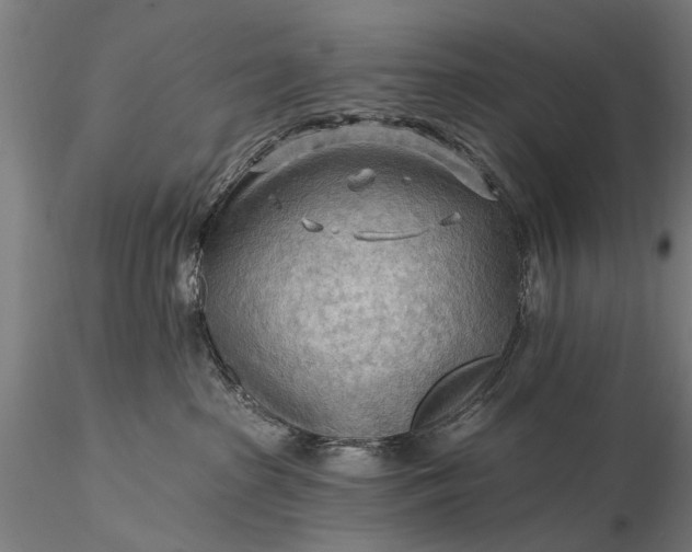 X0000116300285200912141342