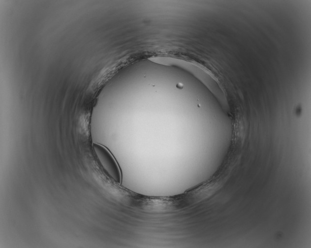 X0000116300286200912141342