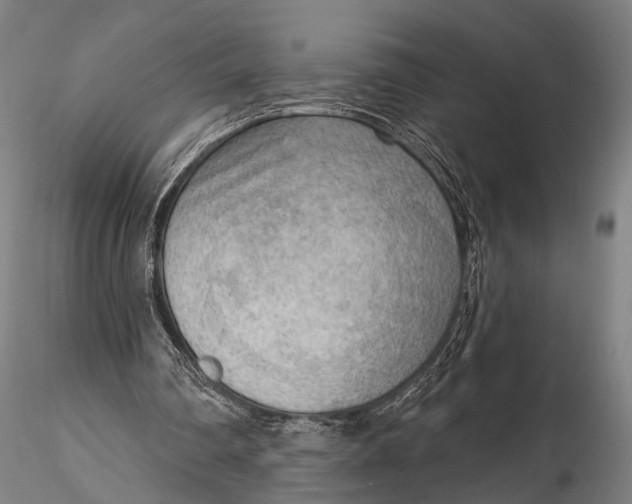 X0000116300290200912141342