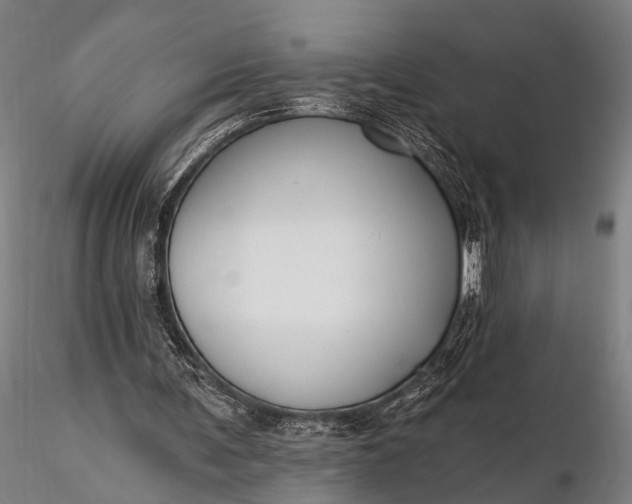 X0000116300291200912141342