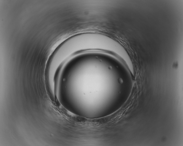 X0000116300292200912141342