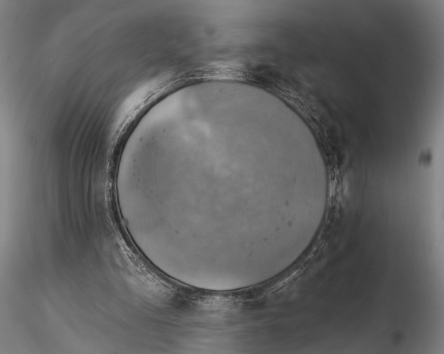 X0000116300293200912141342