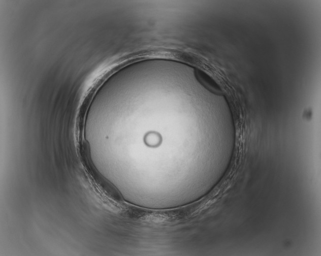 X0000116300294200912141341