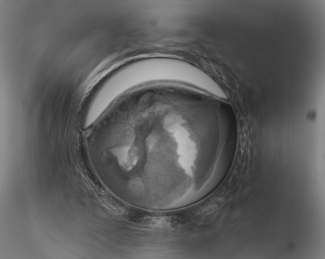 X0000116300295200912141341