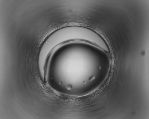 X0000116300297200912141341