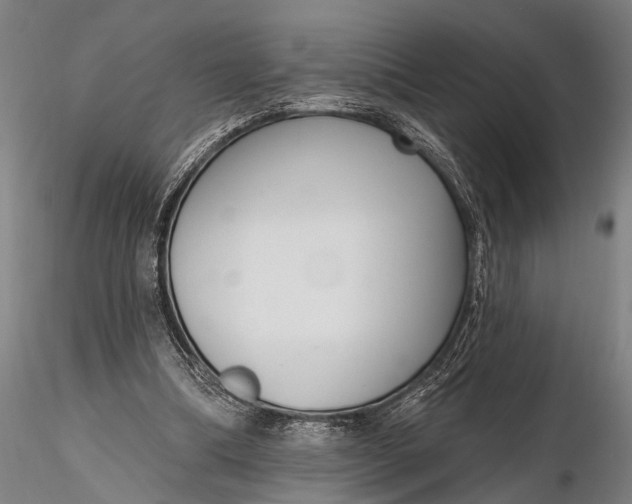 X0000116300298200912141341