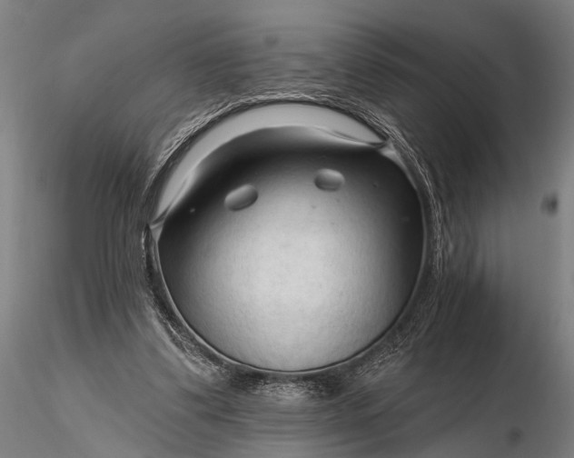 X0000116300299200912141341