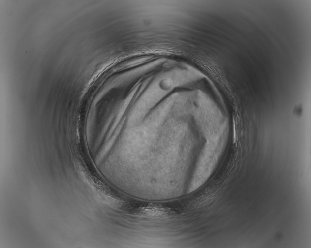 X0000116300300200912141341