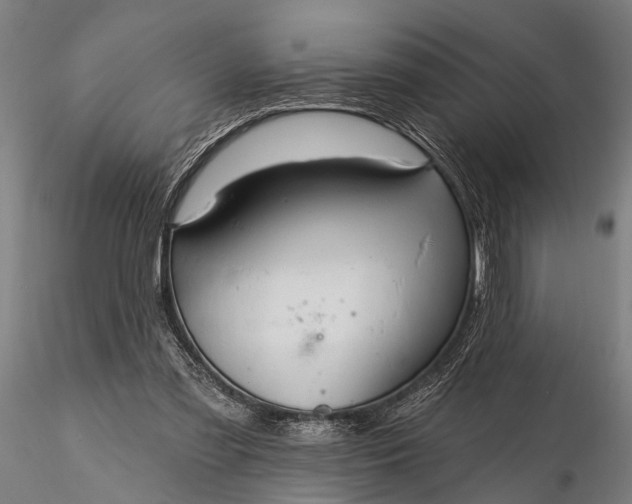 X0000116300301200912141341