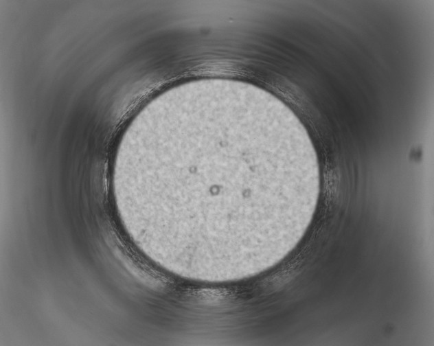 X0000116300302200912141341