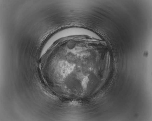 X0000116300303200912141341