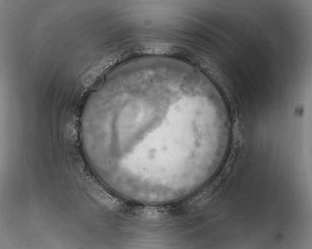 X0000116300305200912141341