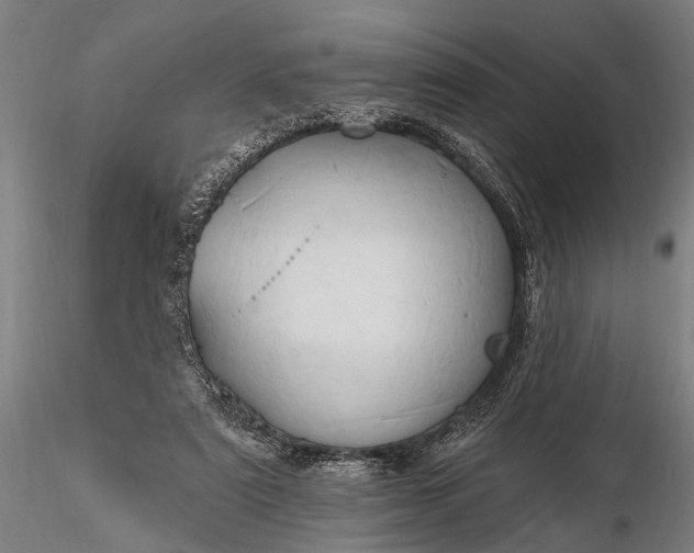 X0000116300307200912141341