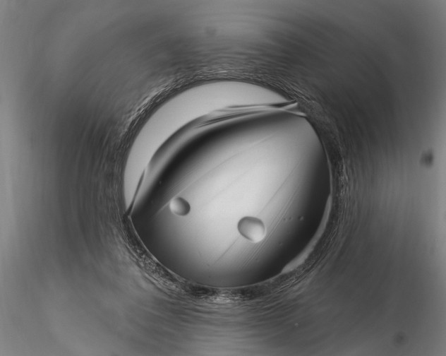 X0000116300308200912141341