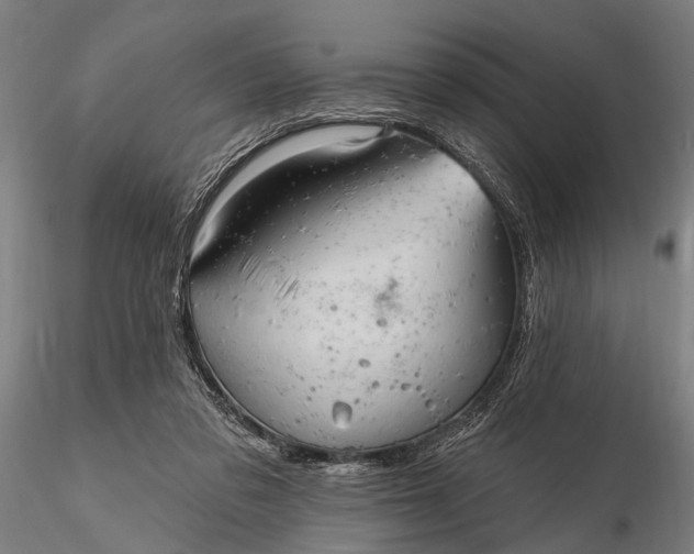 X0000116300309200912141341