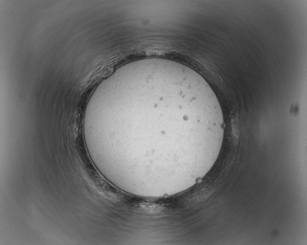 X0000116300311200912141341