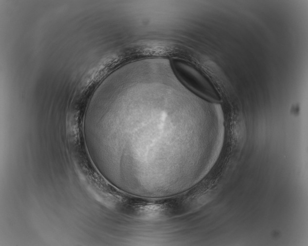 X0000116300312200912141341