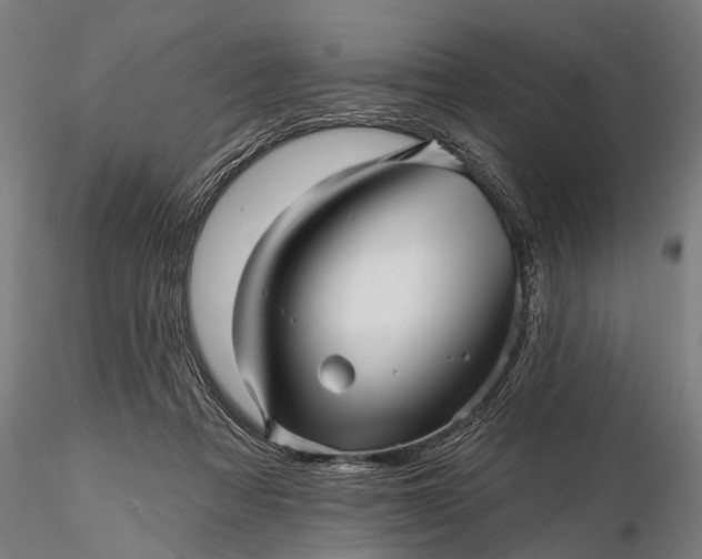 X0000116300313200912141341