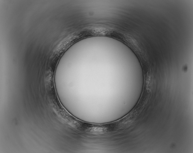 X0000116300314200912141341