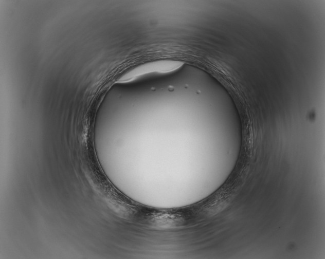 X0000116300315200912141341