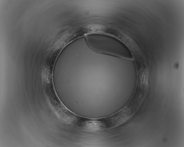 X0000116300316200912141341