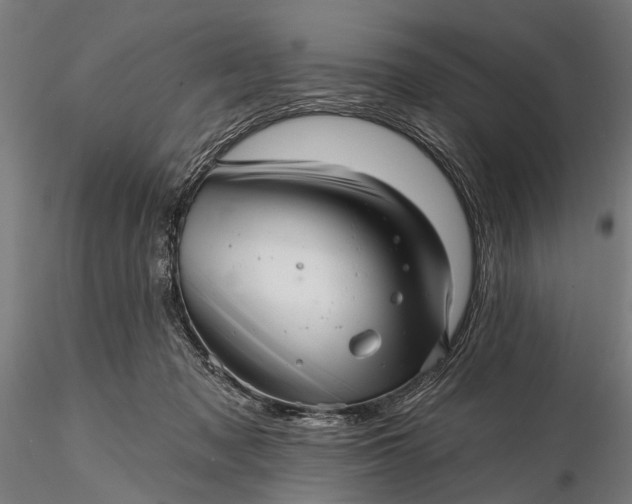 X0000116300317200912141341