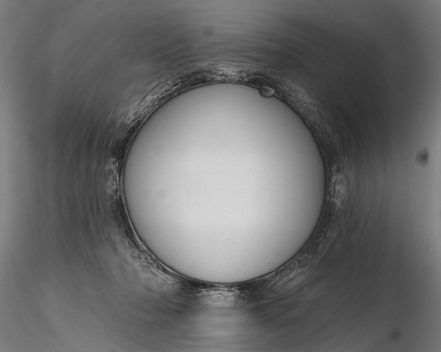 X0000116300318200912141341