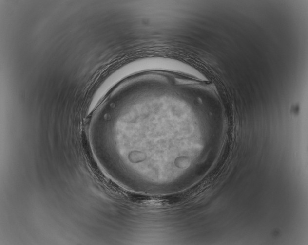 X0000116300320200912141341