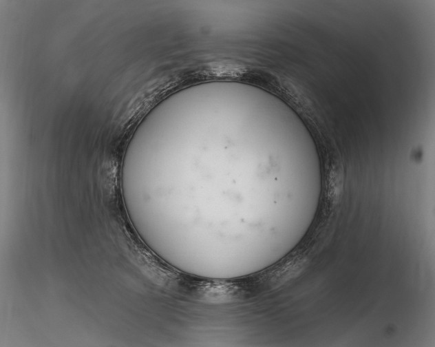 X0000116300321200912141341