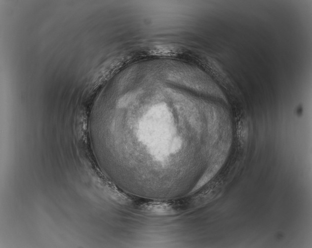 X0000116300322200912141341