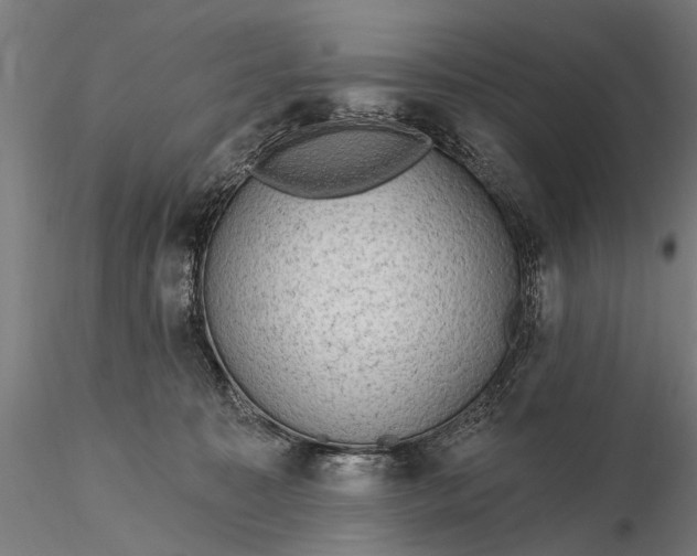 X0000116300323200912141341