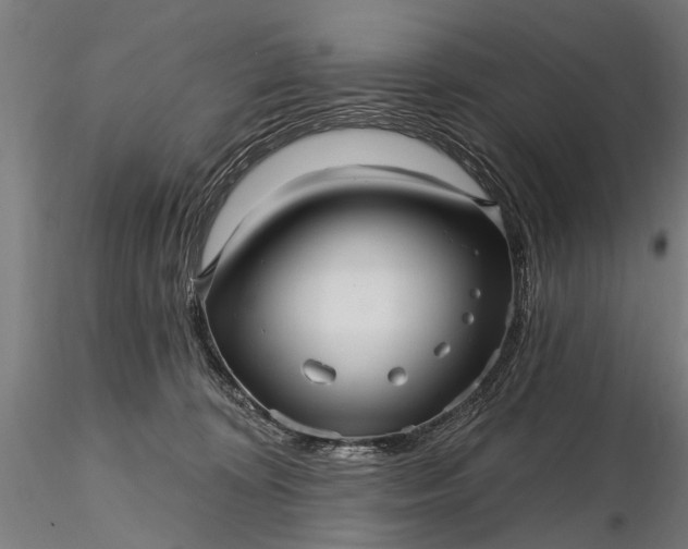 X0000116300324200912141341