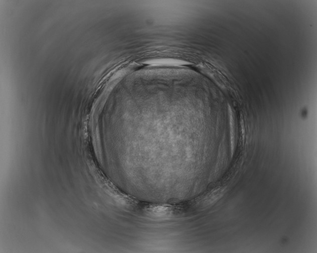 X0000116300325200912141341