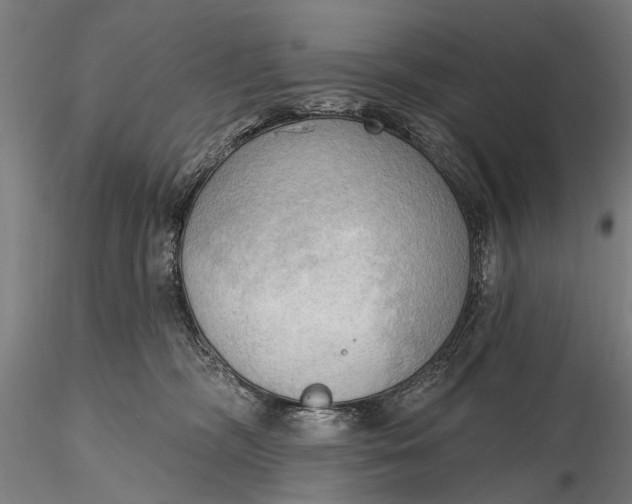 X0000116300326200912141341