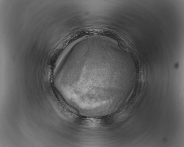 X0000116300328200912141341