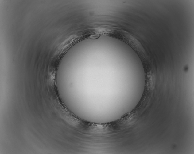 X0000116300329200912141341