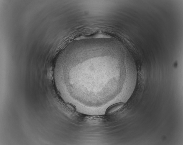 X0000116300331200912141341