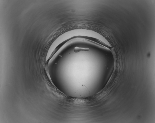 X0000116300332200912141341