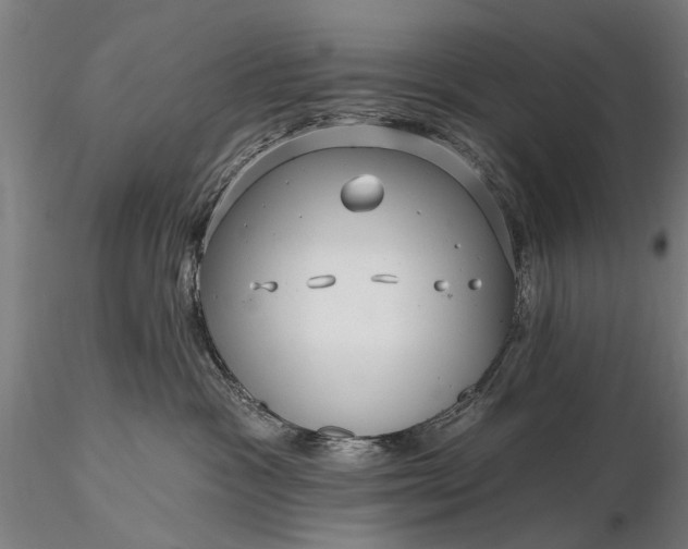 X0000116300333200912141341