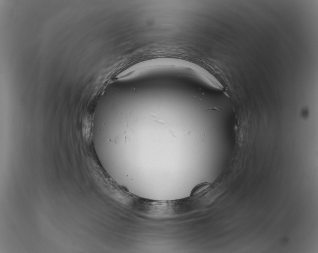 X0000116300335200912141341