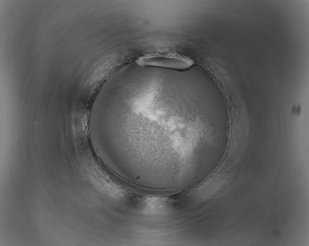 X0000116300336200912141341