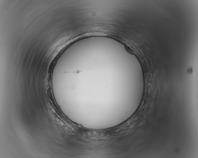 X0000116300338200912141340